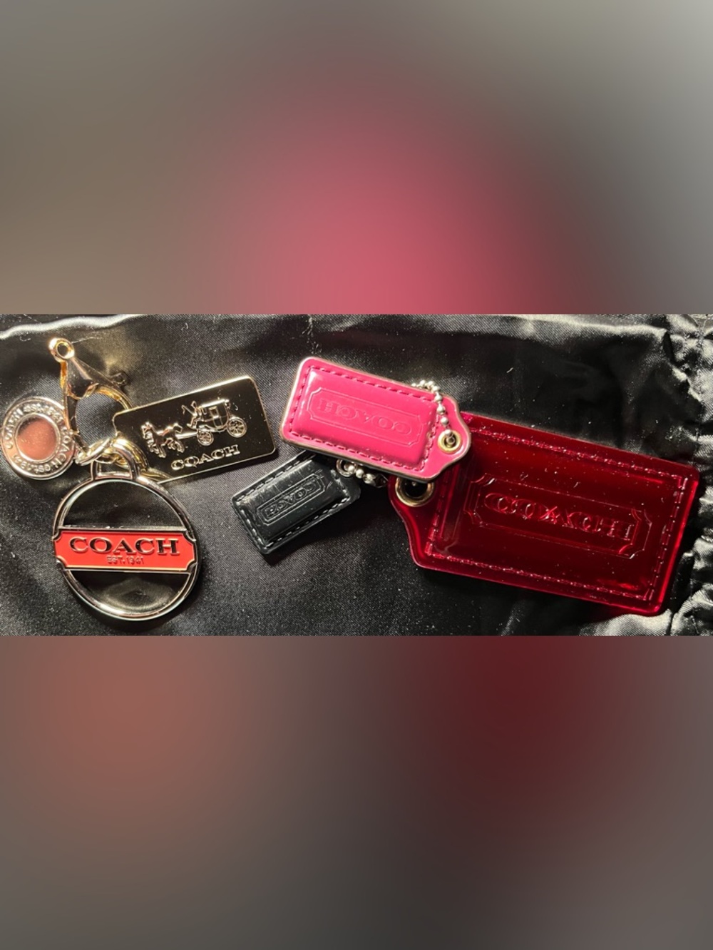 Coach 6-piece Tag Collection